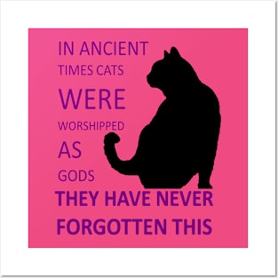 In Ancient Times Cats Were Worshipped As Gods v7 Posters and Art